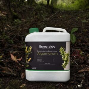 Algamarum Tierra y Vida